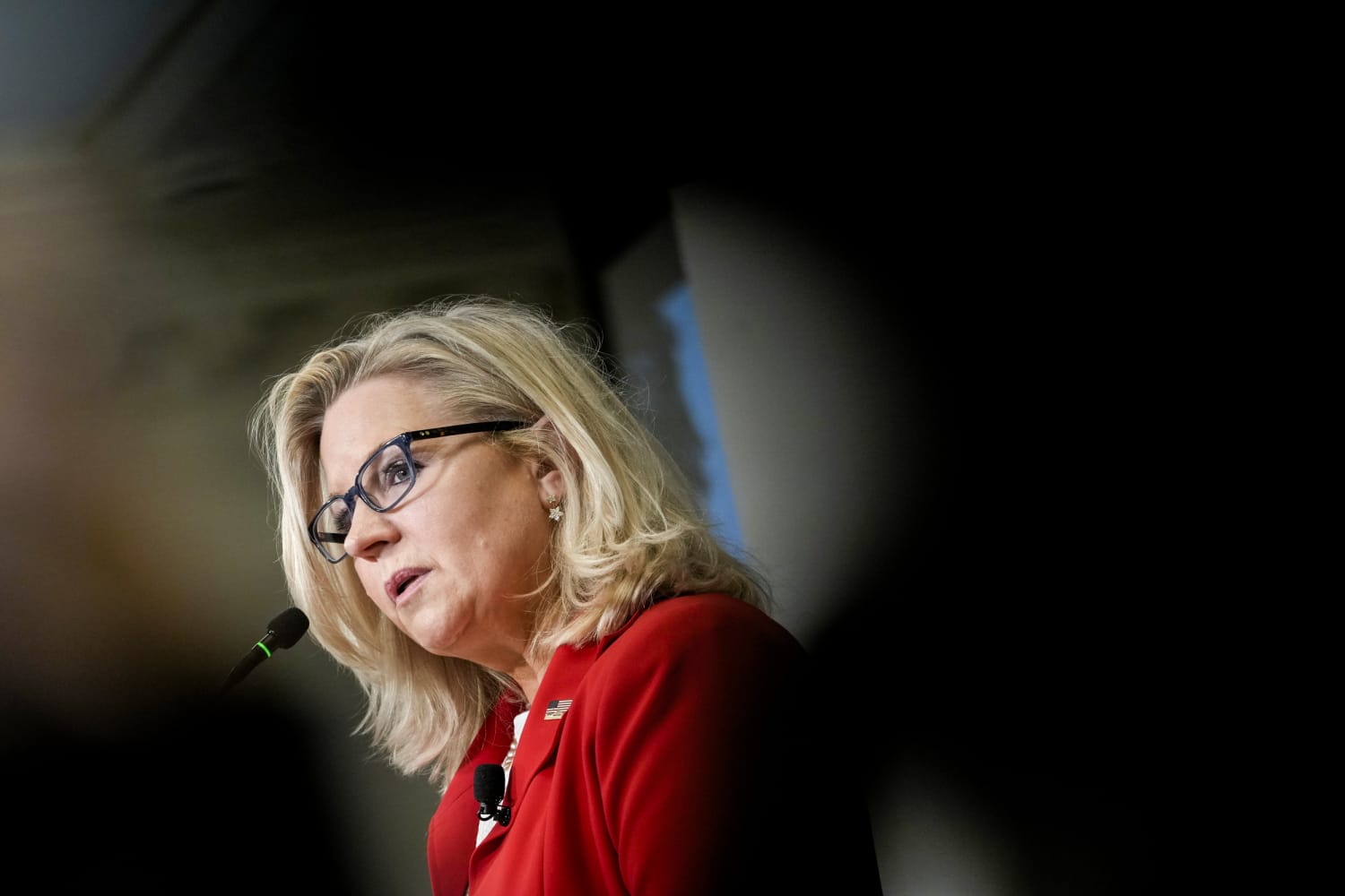 Liz Cheney says she would campaign for Democrats