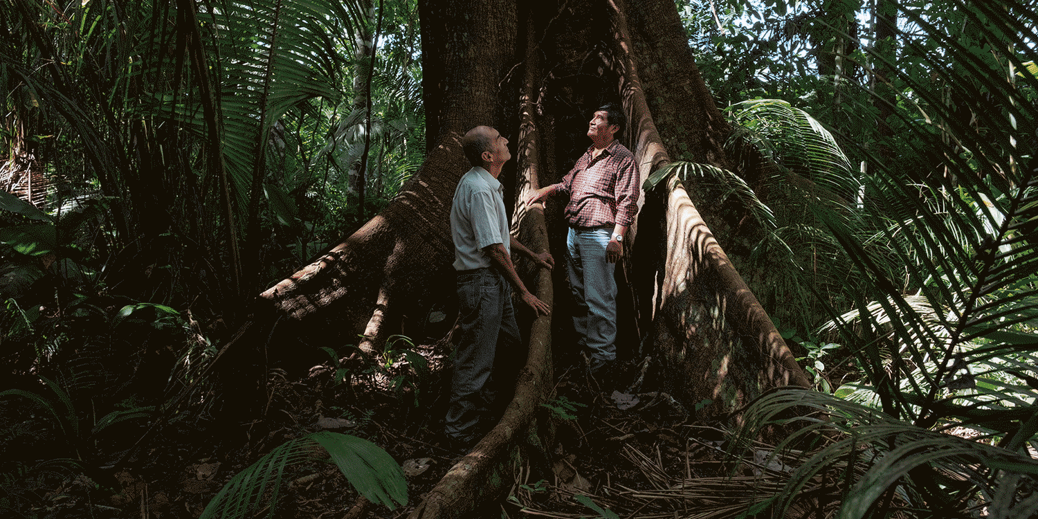 Inside the illegal gold mining that's devastating the Peruvian Amazon