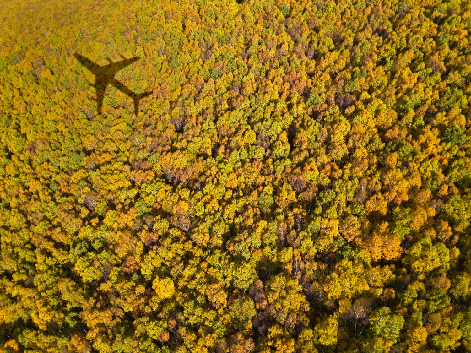 Traveling for Thanksgiving? Here are 5 tips from travel experts