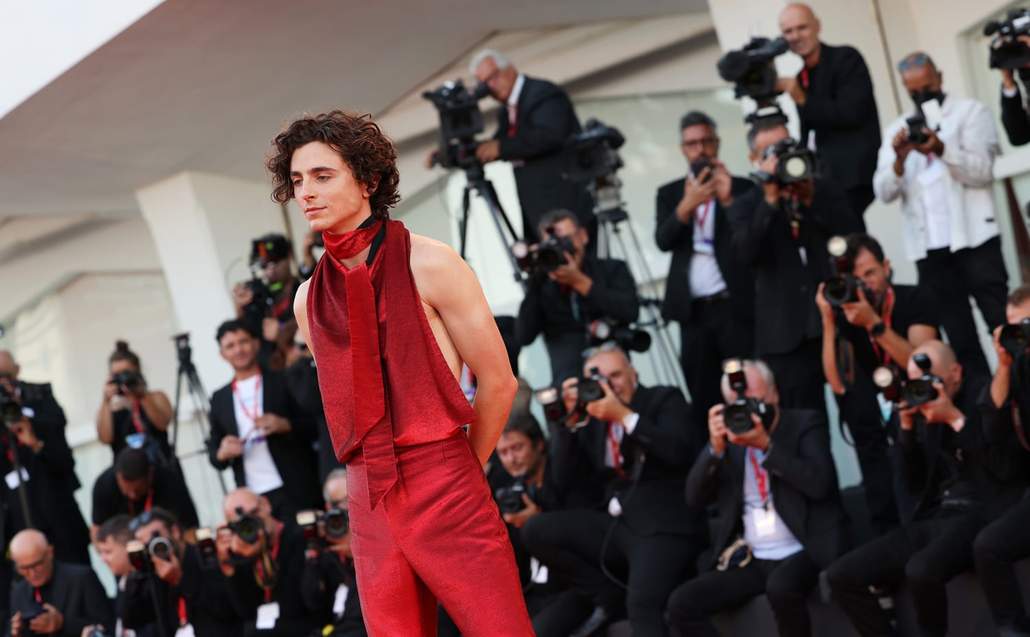 Timothee Chalamet goes backless for 'Bones and All' premiere at