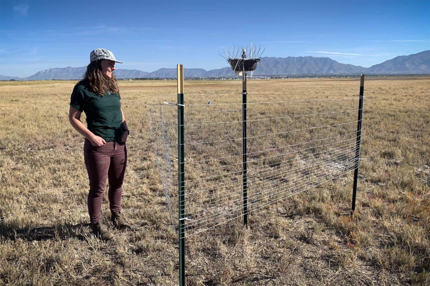 Great Salt Lake not that far off from an ecosystem collapse: Toxic dust  storms, die-offs loom