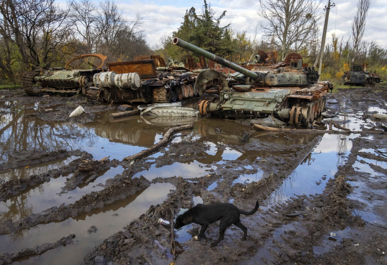 Russian officials on the defensive after letter alleging 'incomprehensible' losses in Ukraine