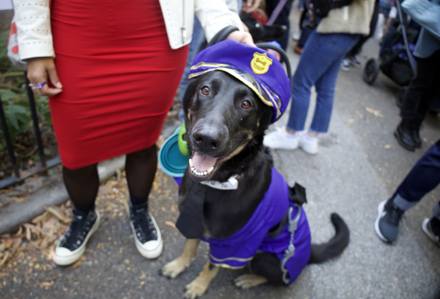 WM - Zoey here is one of the coolest dogs we've seen. The hat may