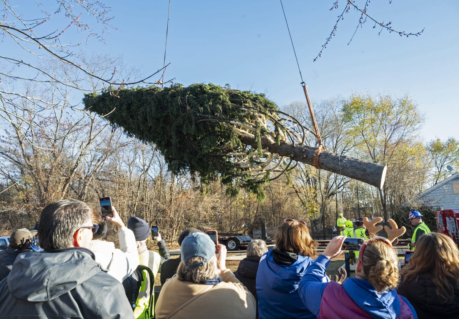 A 12-foot-tall 2D Christmas tree is looking over Fifth Avenue now