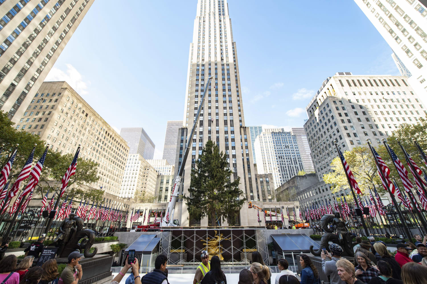 An 82-foot Christmas tree arrives at New York City's Rockefeller Center :  NPR