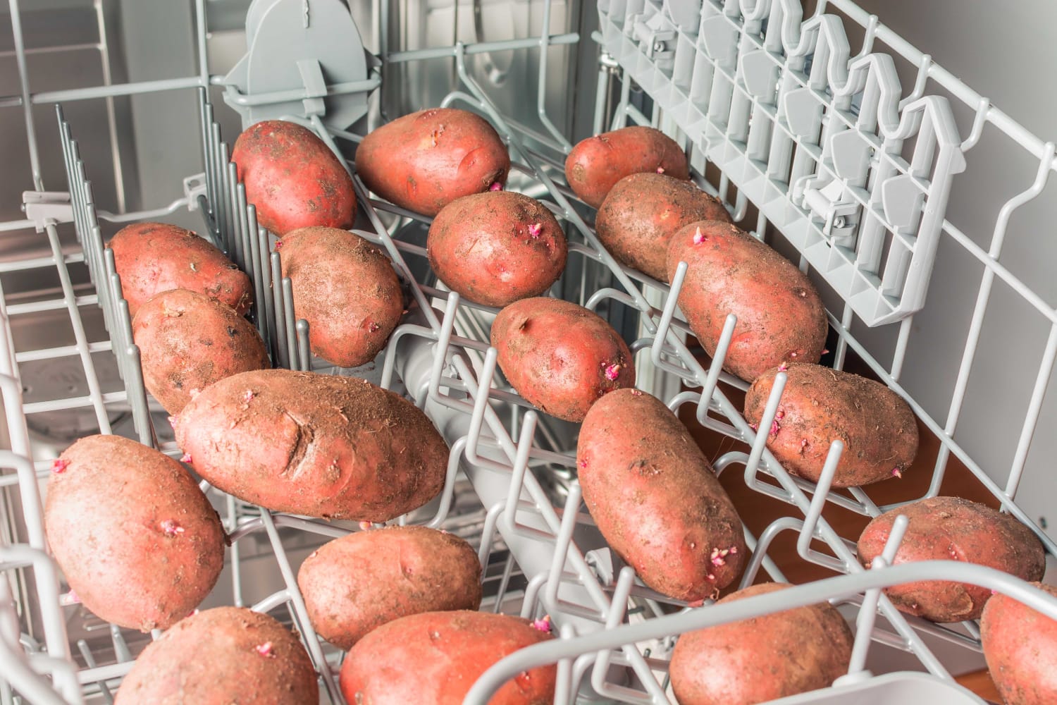 Potato Guy Scrubber Brush - Idaho Potato Store