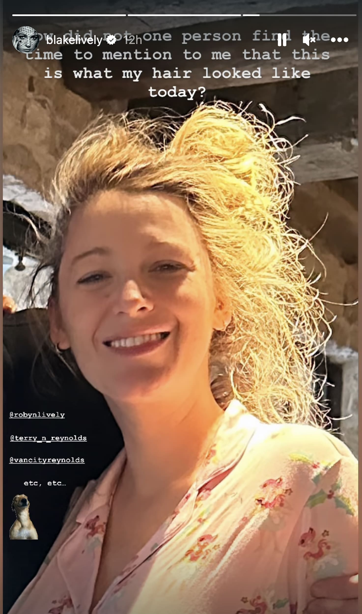 Blake Lively Shares Photo of Bad Hair Day