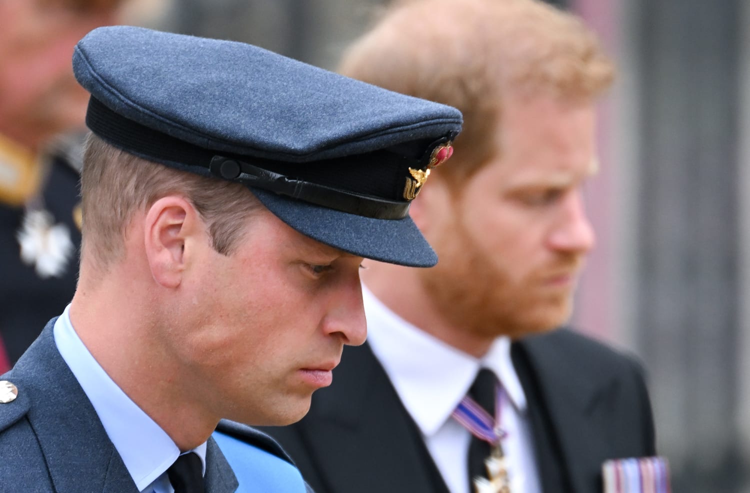 Prince Harry says Prince William Screamed at Him During Family Meeting