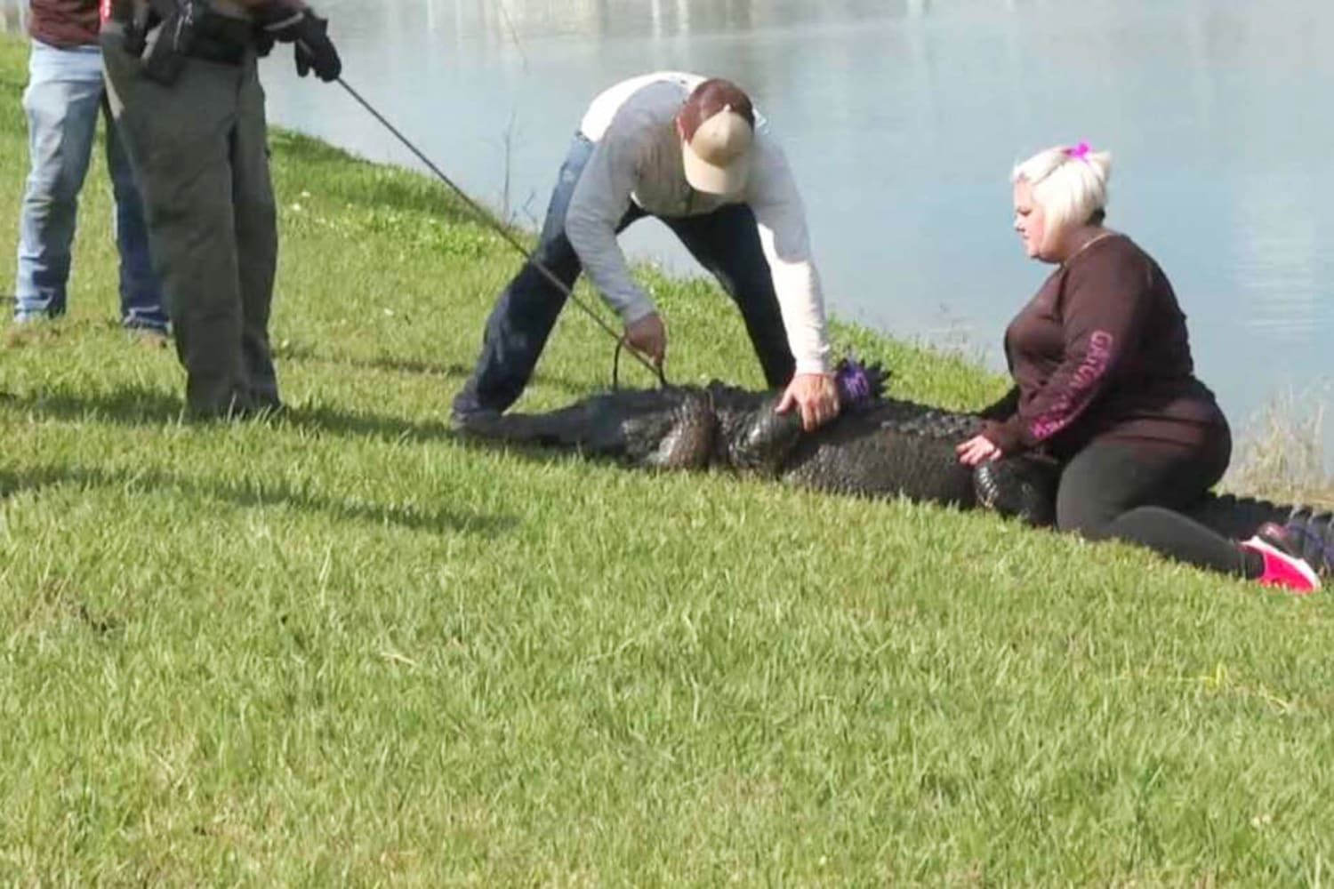 On camera, 85-year-old Florida woman killed by alligator while trying to  protect her dog