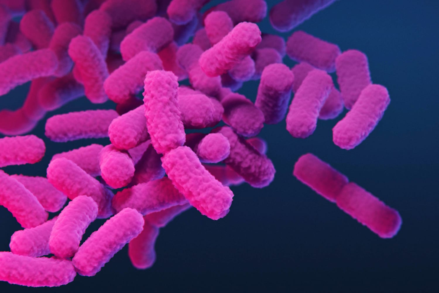 CDC warns about the rise in almost untreatable shigella bacterial infections