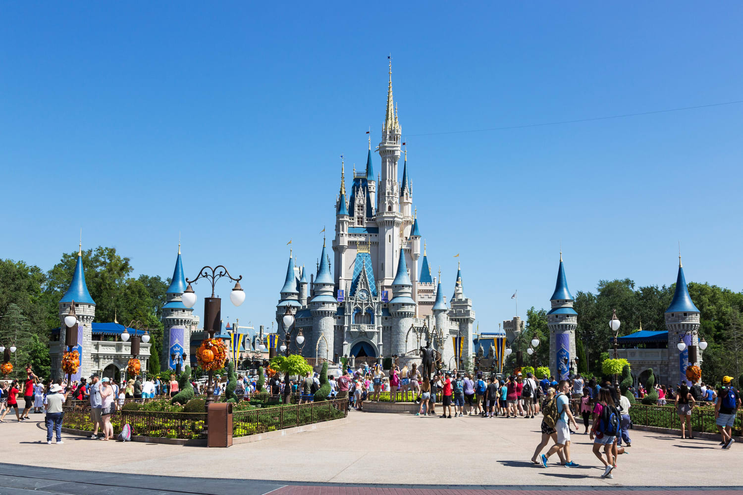 Bear at Disney's Magic Kingdom captured, Florida officials say