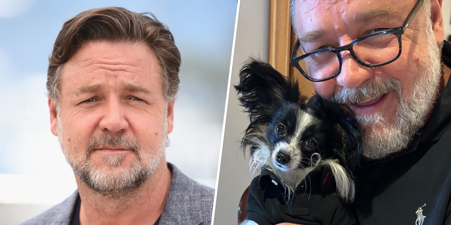 Russell Crowe Says His Dog Was Hit By Truck and Died In His Arms