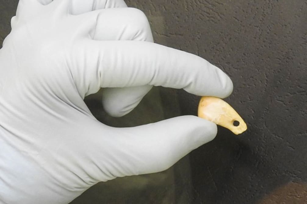 ADN-ul antic arată cine a purtat un colier vechi de 20.000 de ani