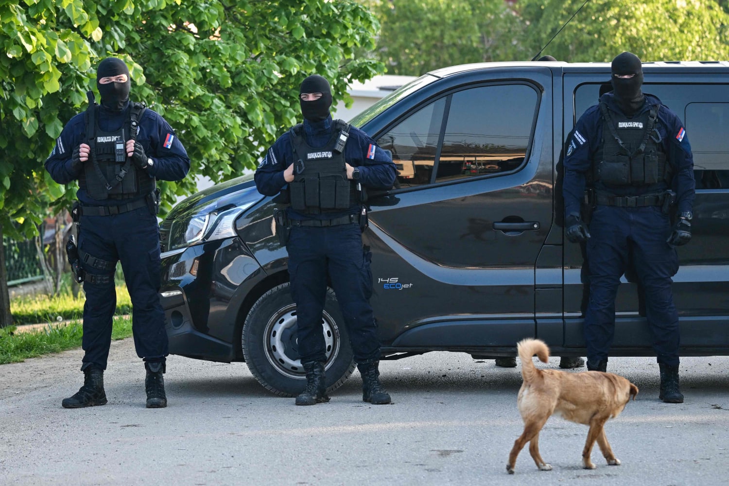 Student kills 8 fellow students and guard in Serbia school shooting