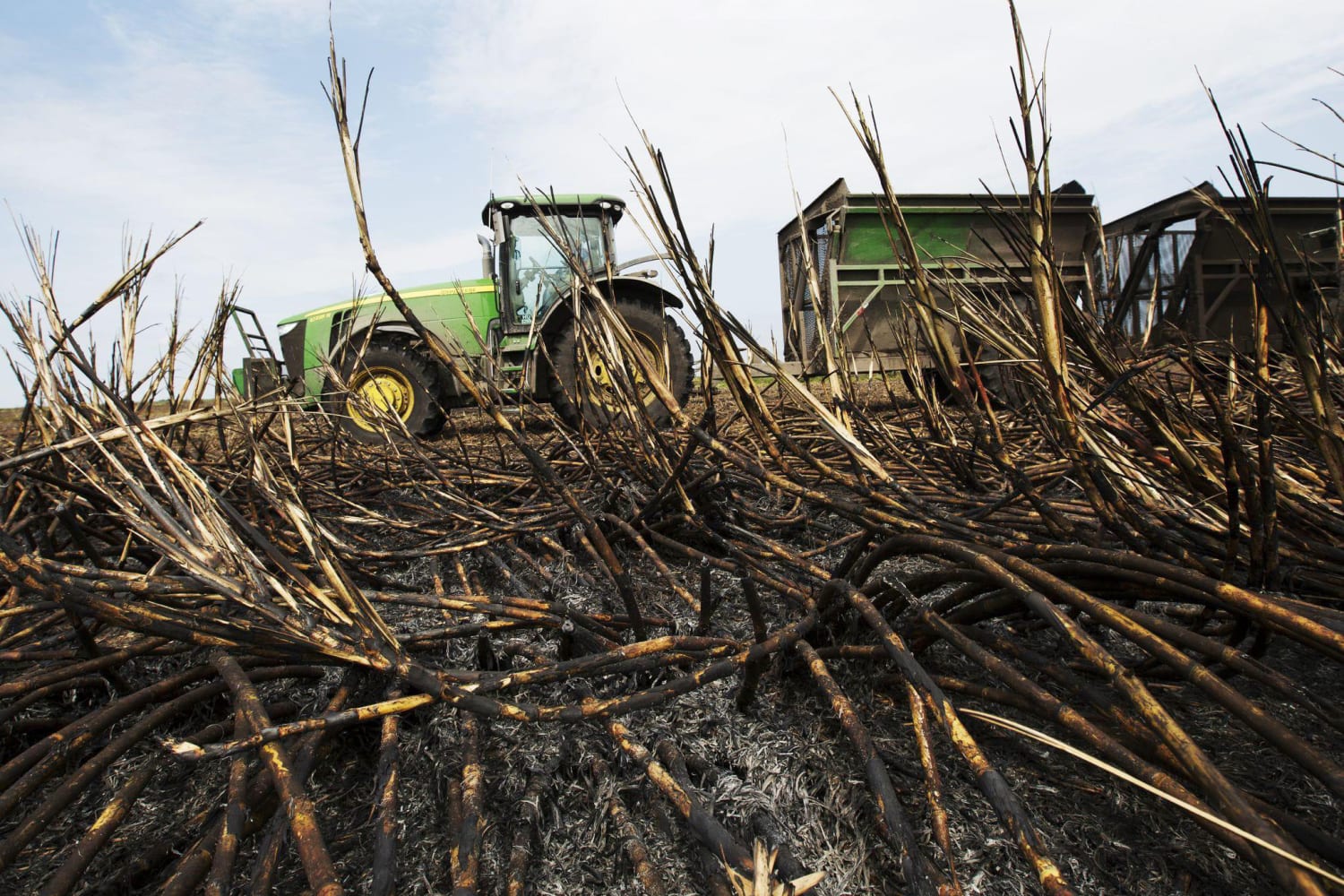 South Florida's sugar burning season makes breathing difficult for ...