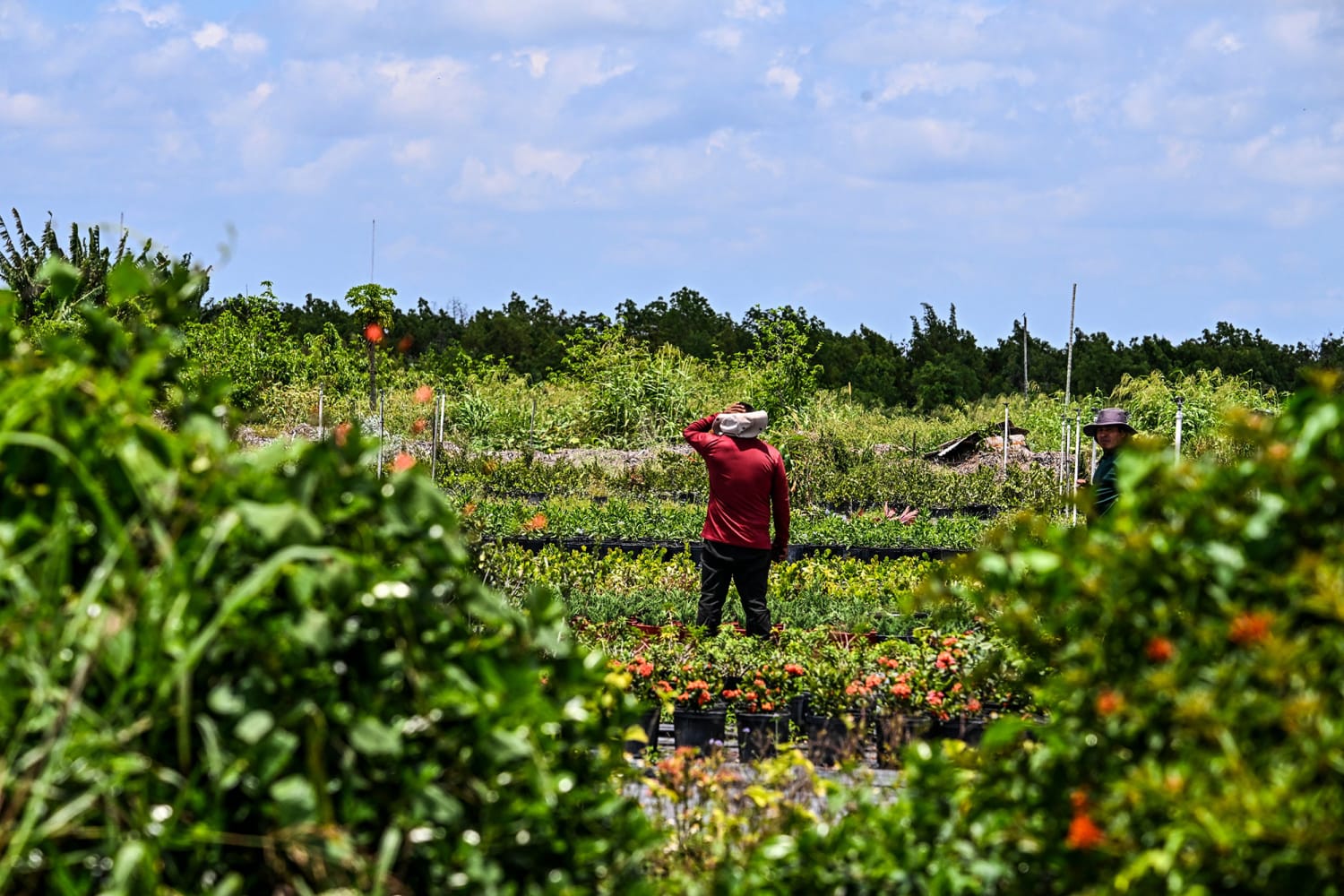 tercer punto  agricultor fin de semana