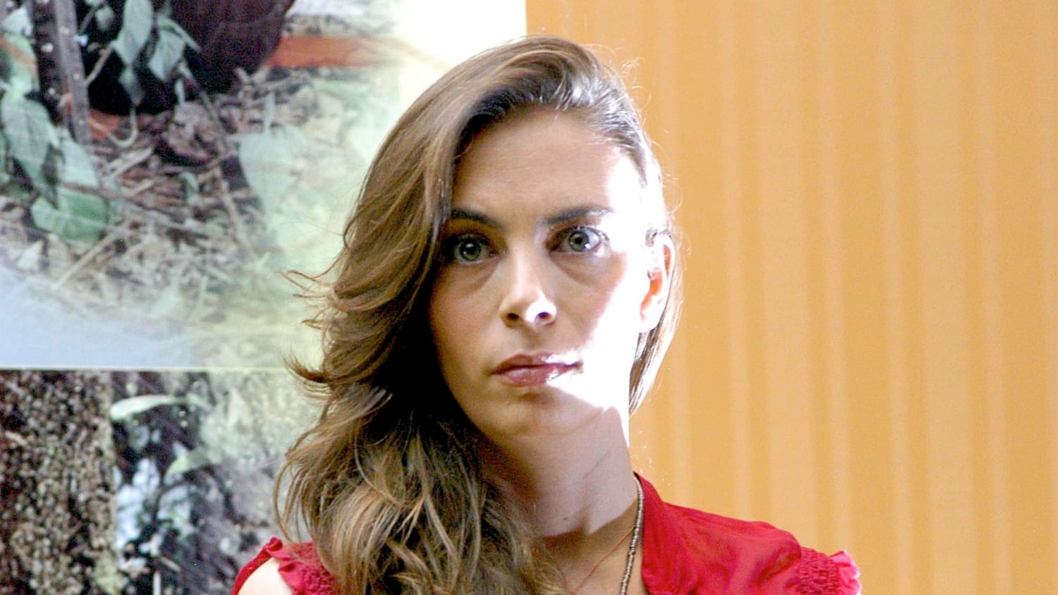 Sasha Sokol rompe el silencio tras demanda contra Luis de Llano