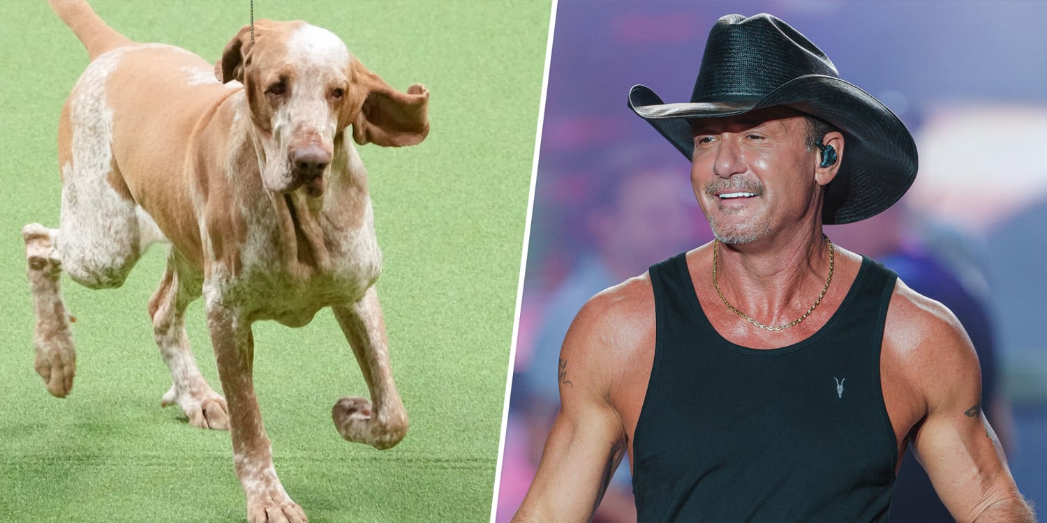 Dog co-owned by Tim McGraw wins new breed at show