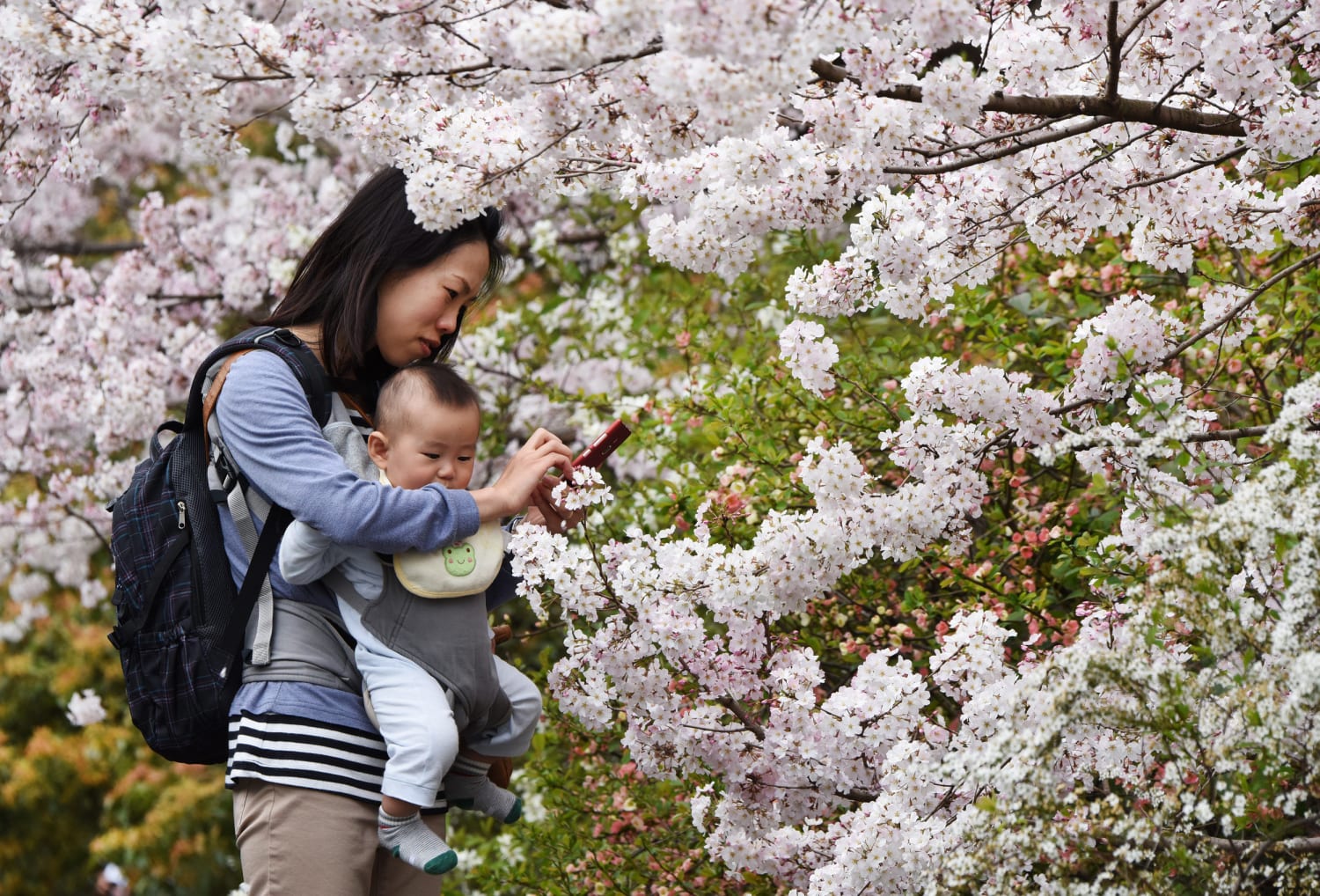 Japan demographic woes deepen as birth rate hits record low