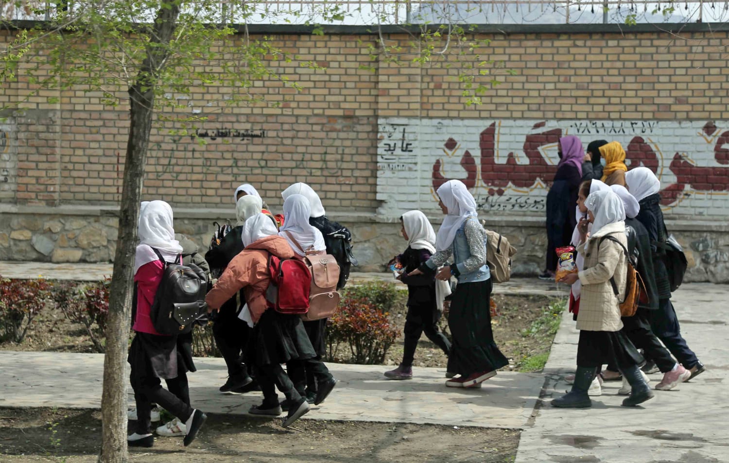 Almost 80 schoolgirls poisoned and hospitalized in Afghanistan, official says