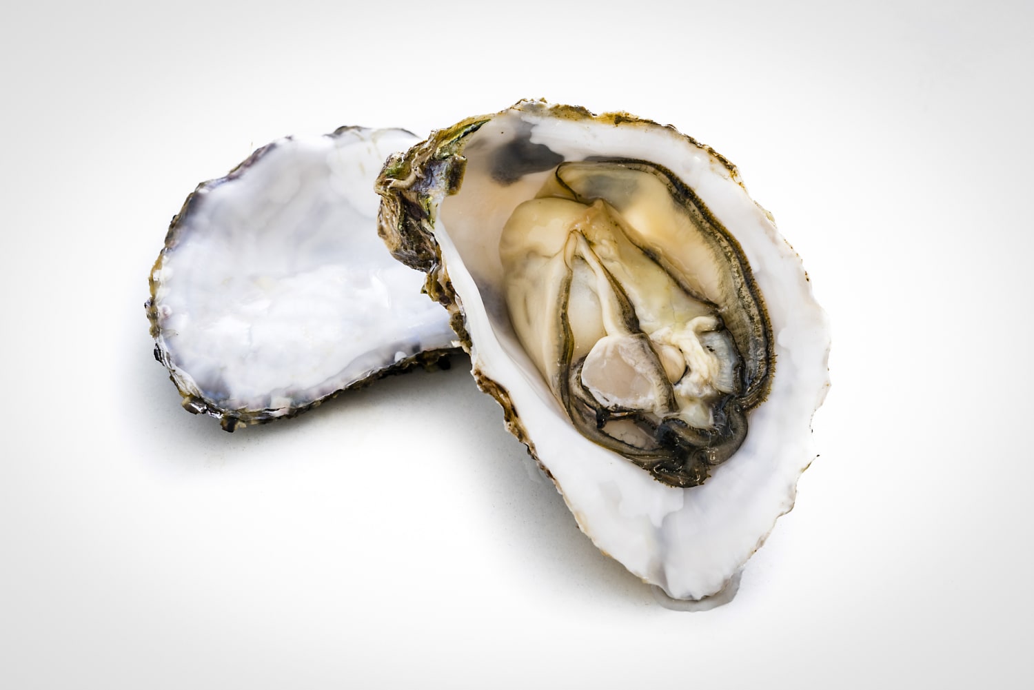 How To Tell If An Oysters Has Gone Bad?