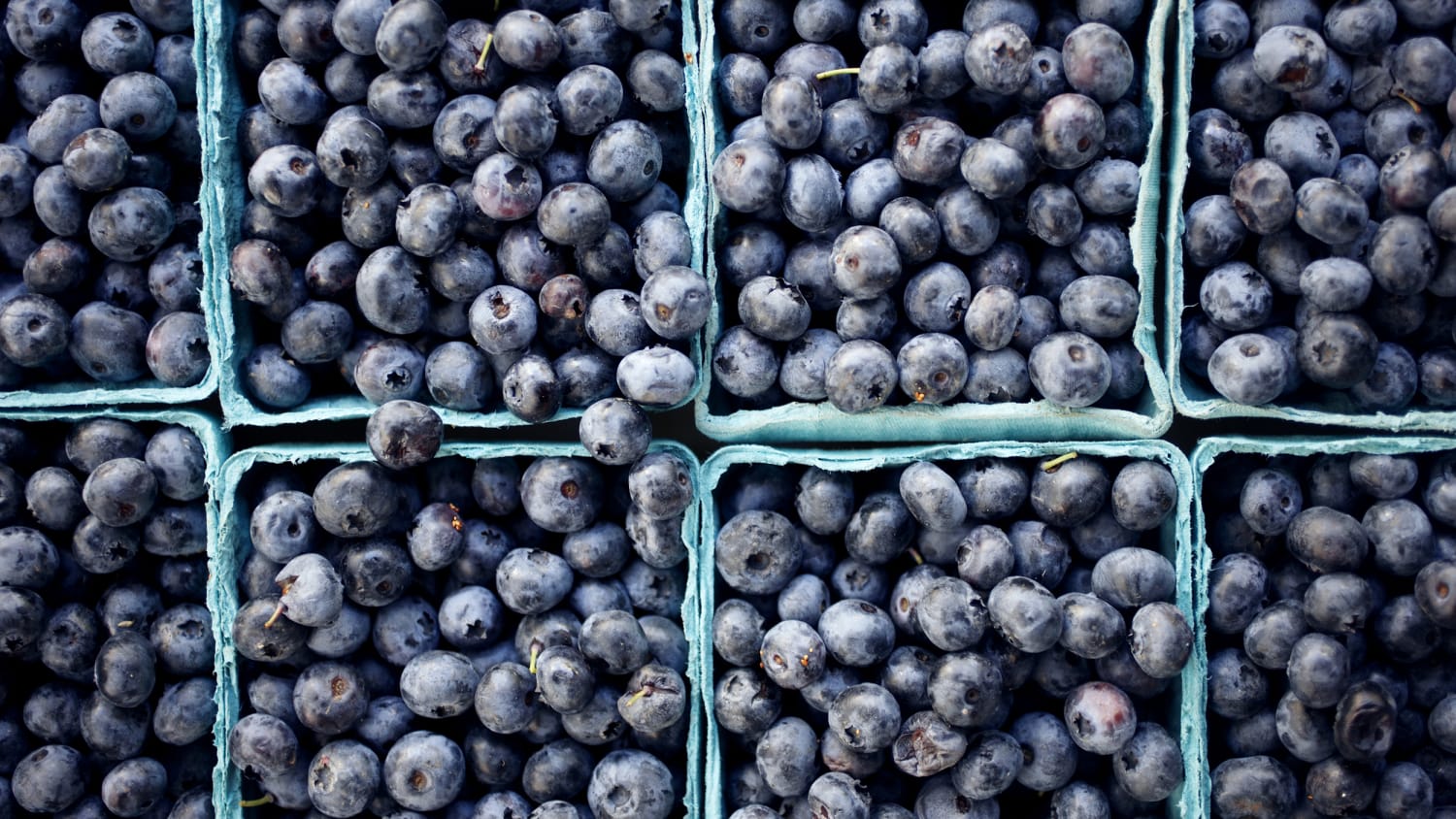 Exploring the Nutritional Benefits of Jumbo Blueberries in