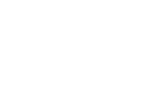 Lady, la vendedora de rosas