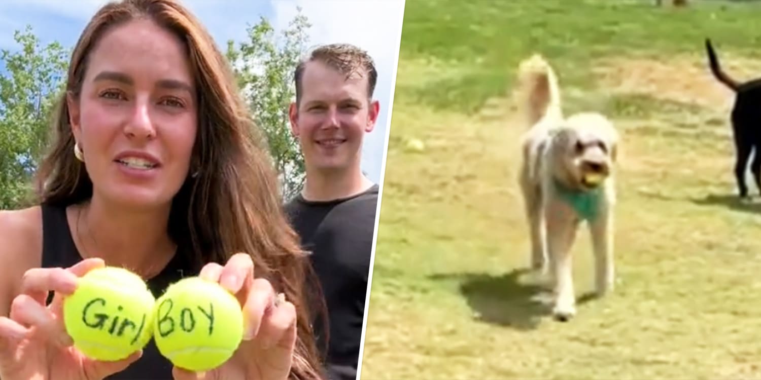 Couple let dog decide the sex of their IVF baby ... and got more than they bargained for