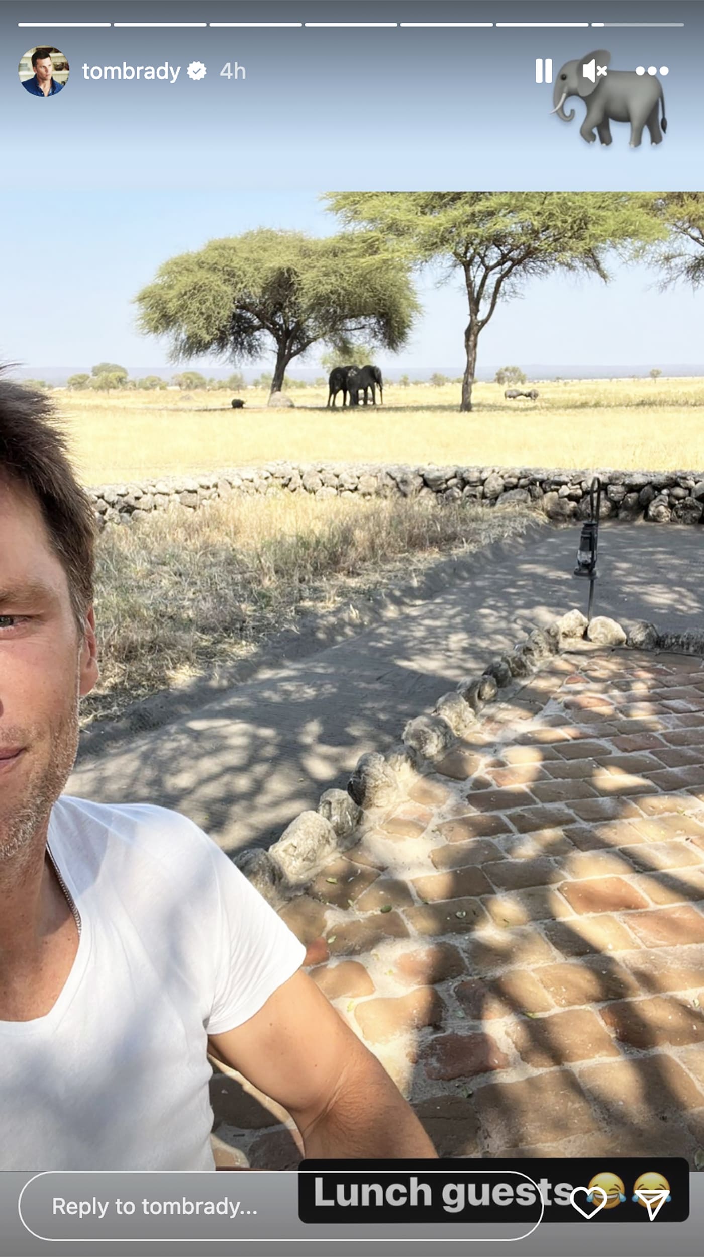 Tom Brady And Daughter Vivian Go On Safari Adventure