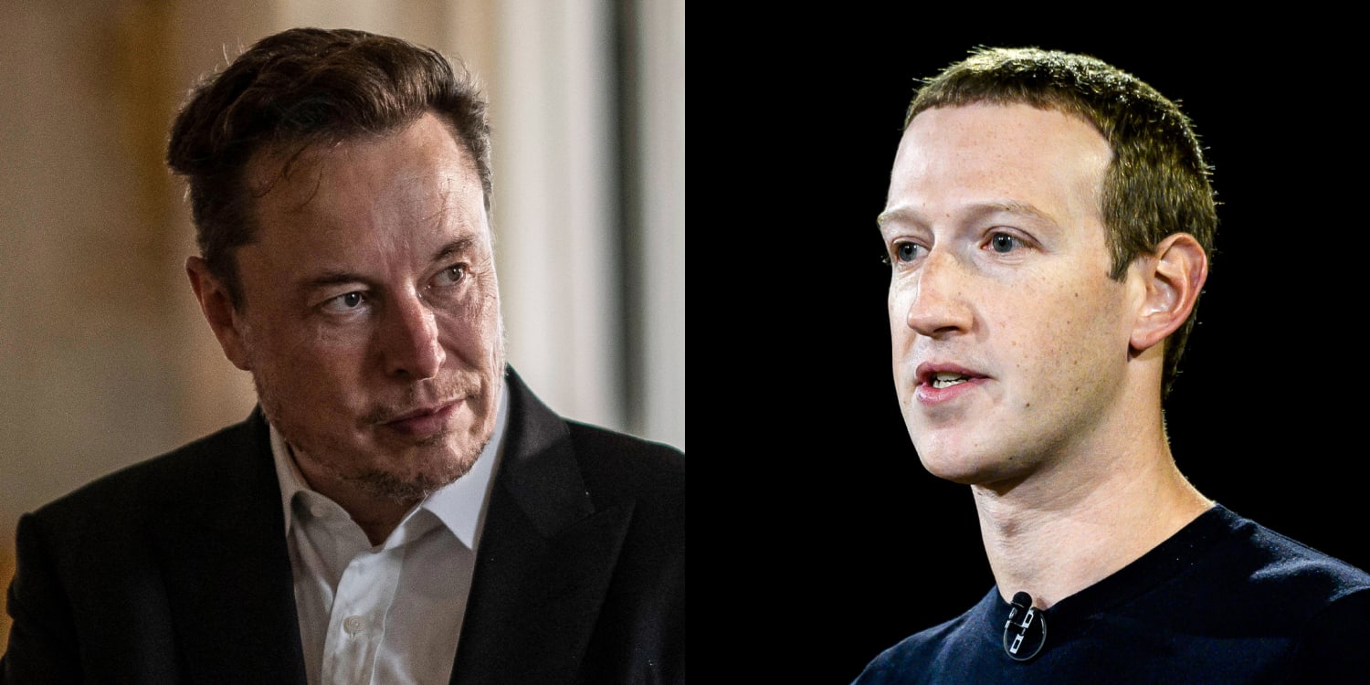 Elon Musk Vs Mark Zuckerberg: Who Would Actually Win In A UFC Cage