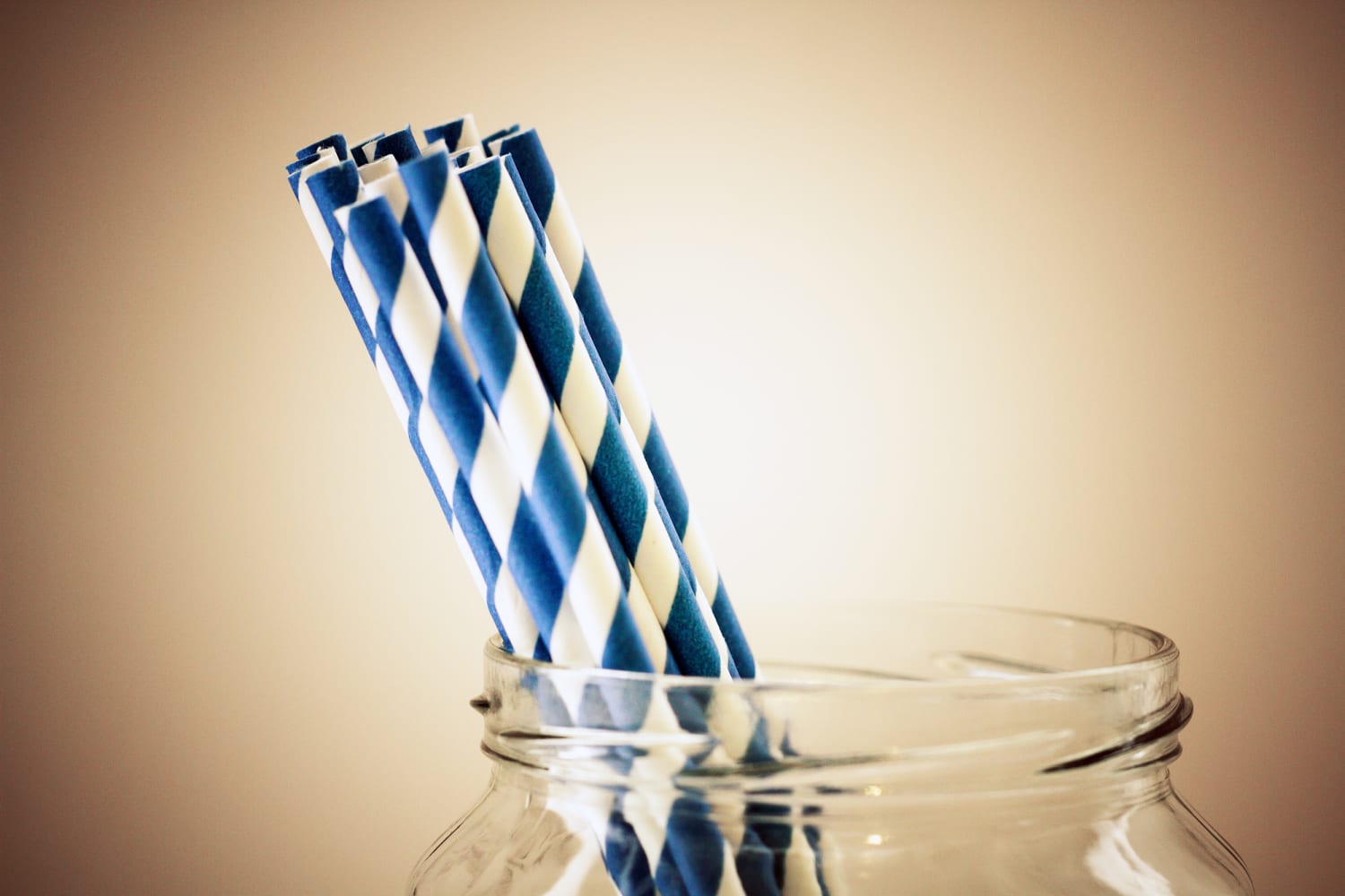 Steel My Straws - Stainless Steel Straws For Ocean Conservation