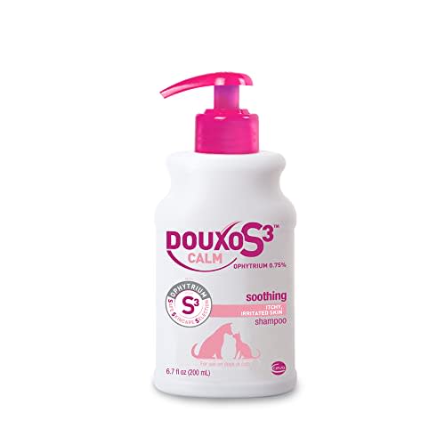 Shampoo for dogs with hotsell oily skin