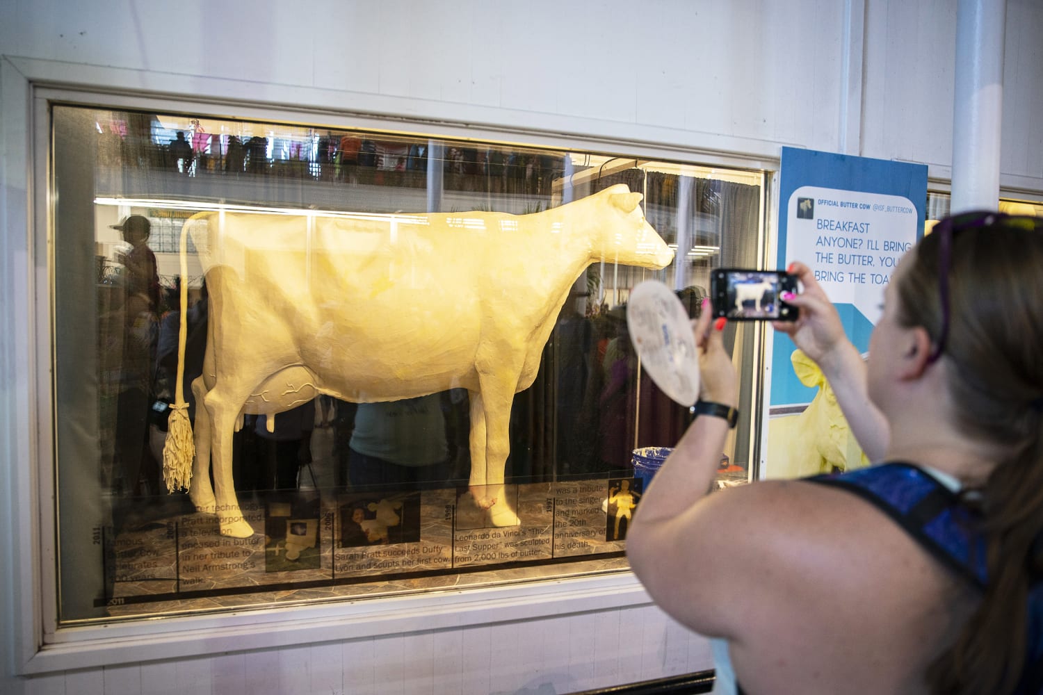 Iowa, Illinois State Fair Butter Cows Aren't Made Entirely of Butter