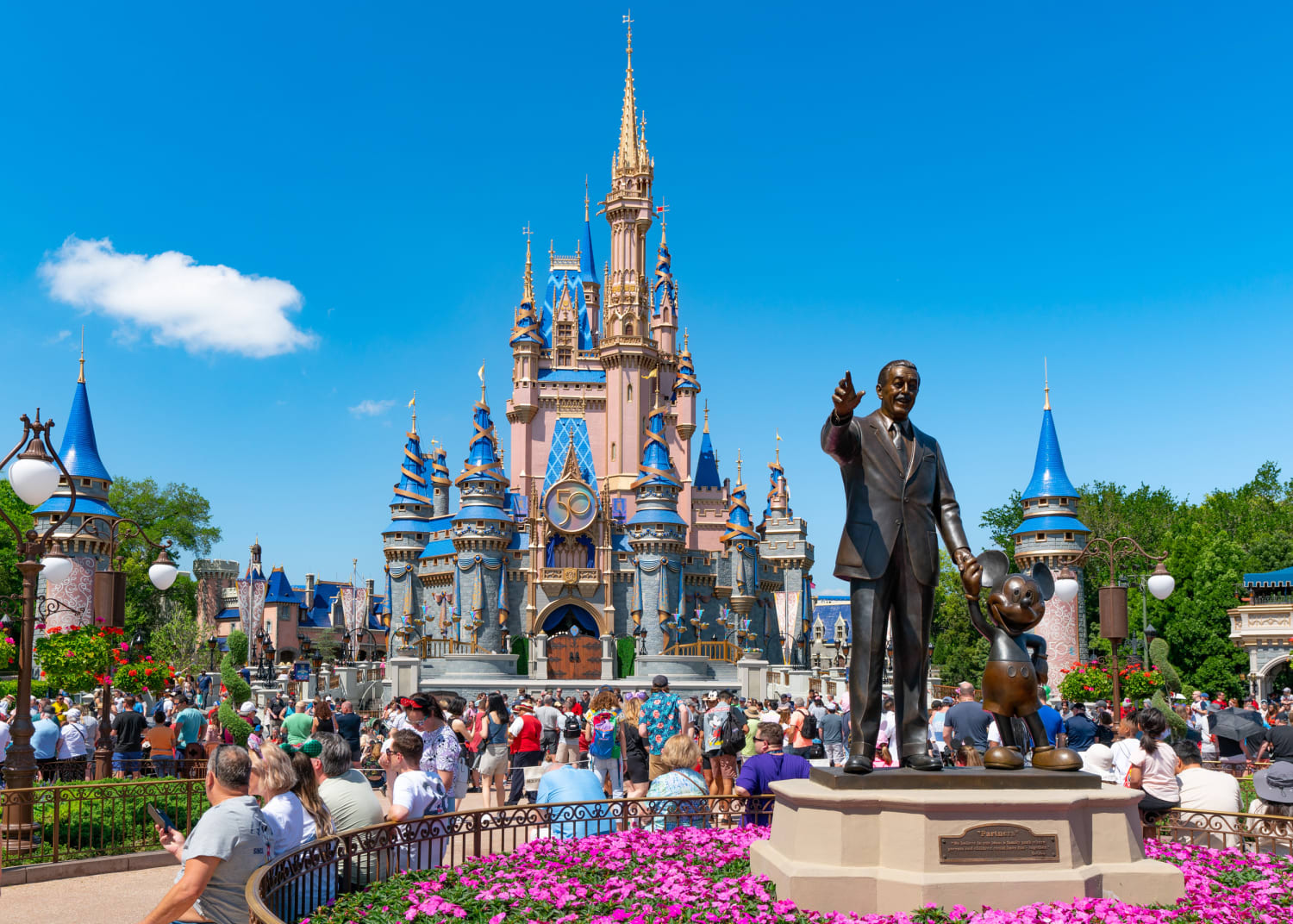 Un avistamiento de un oso negro en un árbol en Disney World provoca el cierre de Magic Kingdom