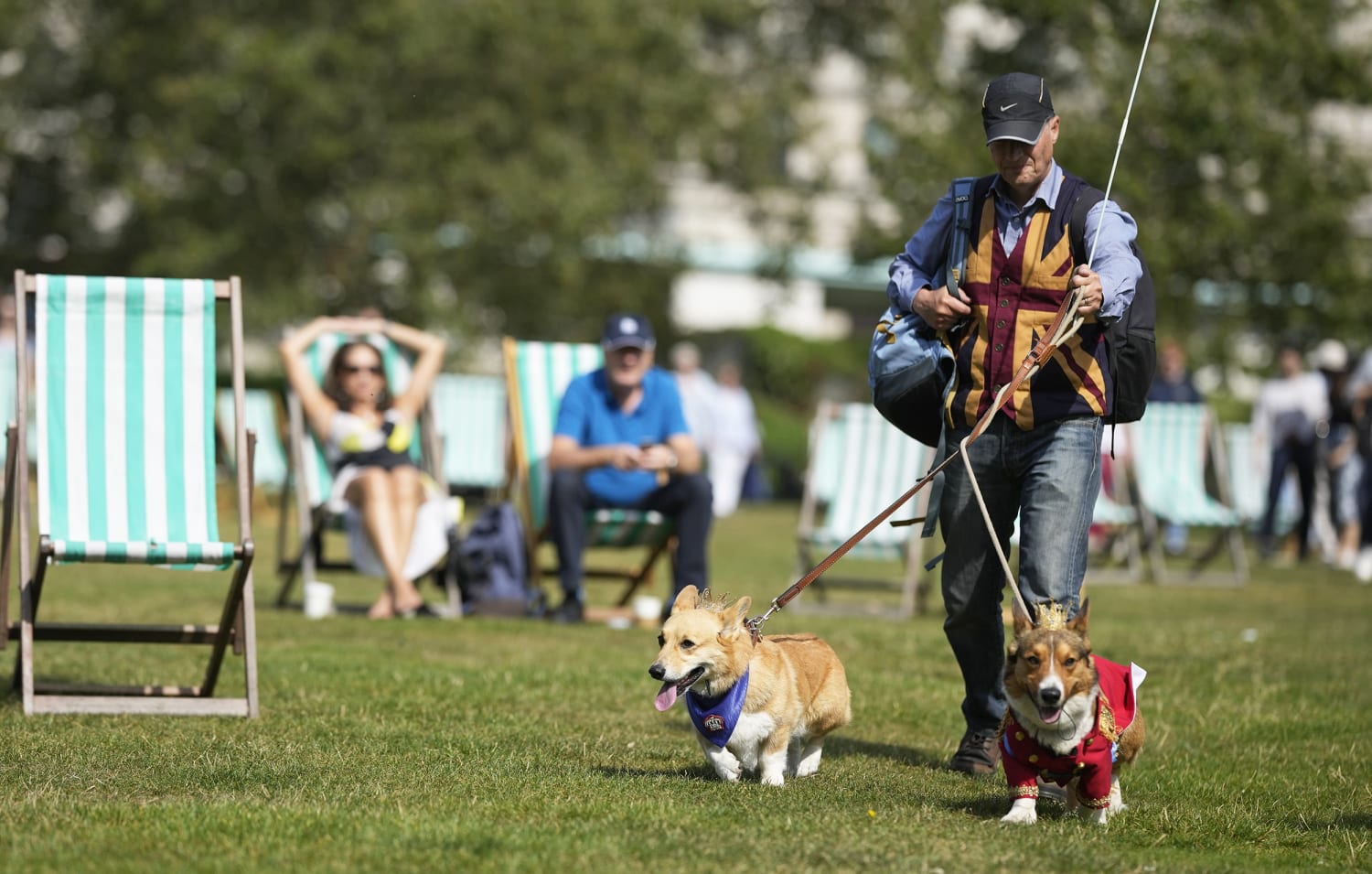 Buckingham Palace Shop - It's International Corgi Day 🎉 It's widely known  that The Queen is fond of corgis, and has owned more than 30 since 1945. As  a tribute to the