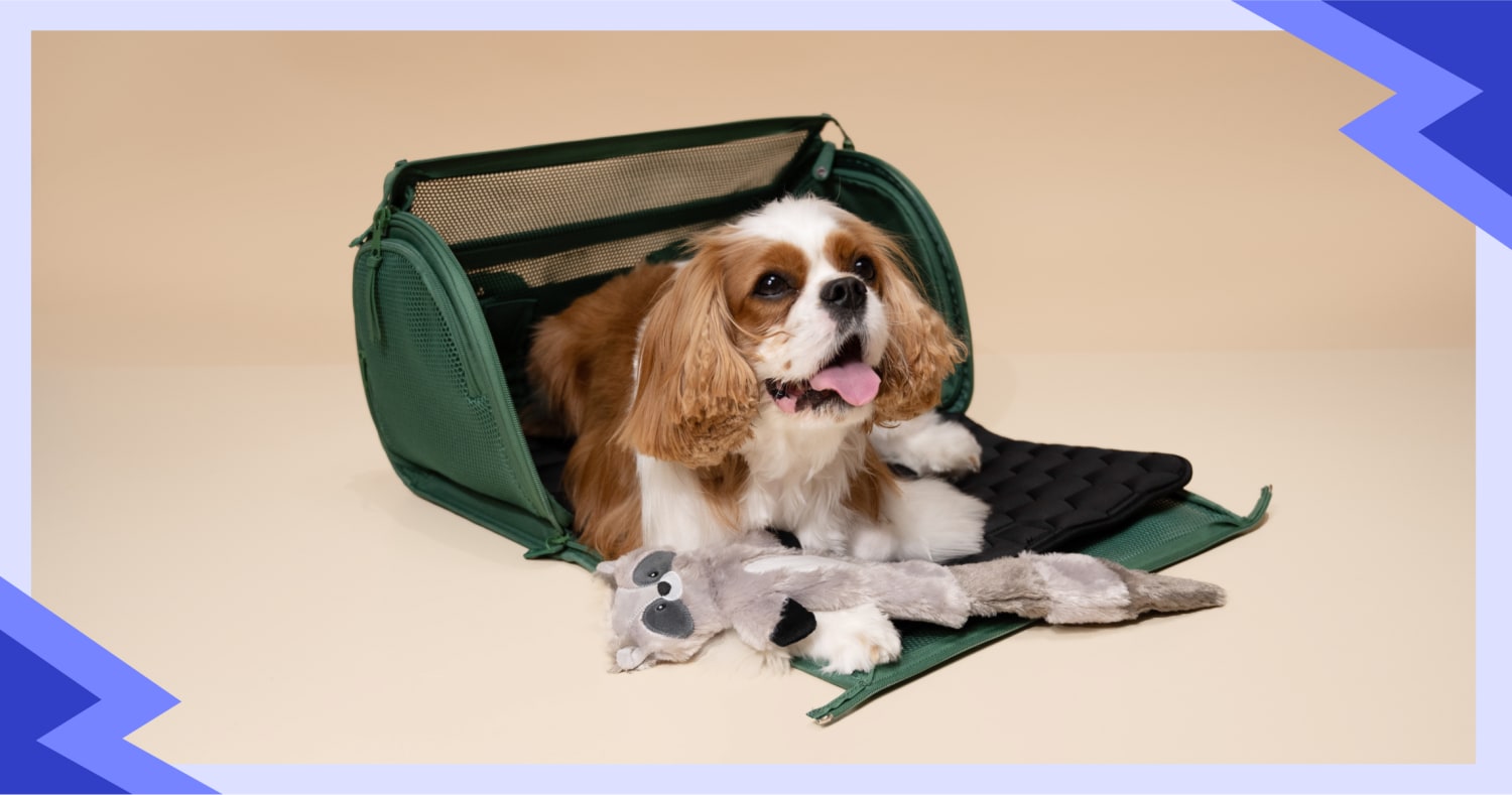 Chewy Designer Dog Backpack Harness | Supreme Dog Garage