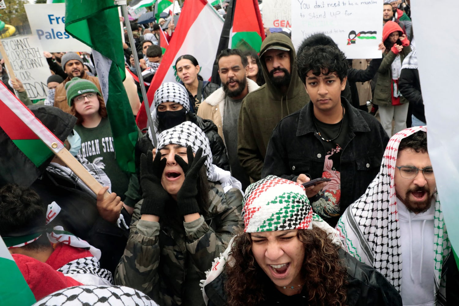 https://media-cldnry.s-nbcnews.com/image/upload/rockcms/2023-10/231020-pro-palestine-protest-michigan-wm-511p-5bff25.jpg