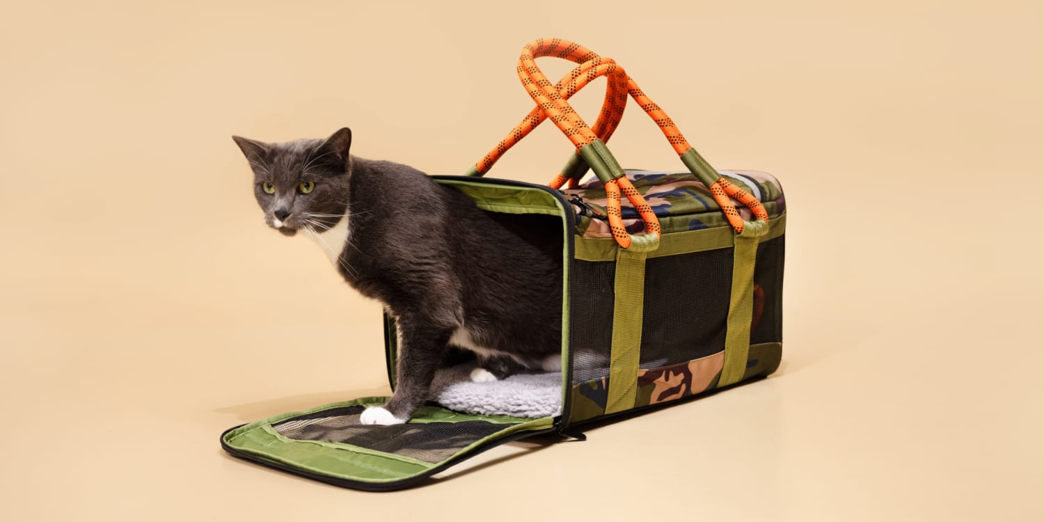 A shop cat carrier