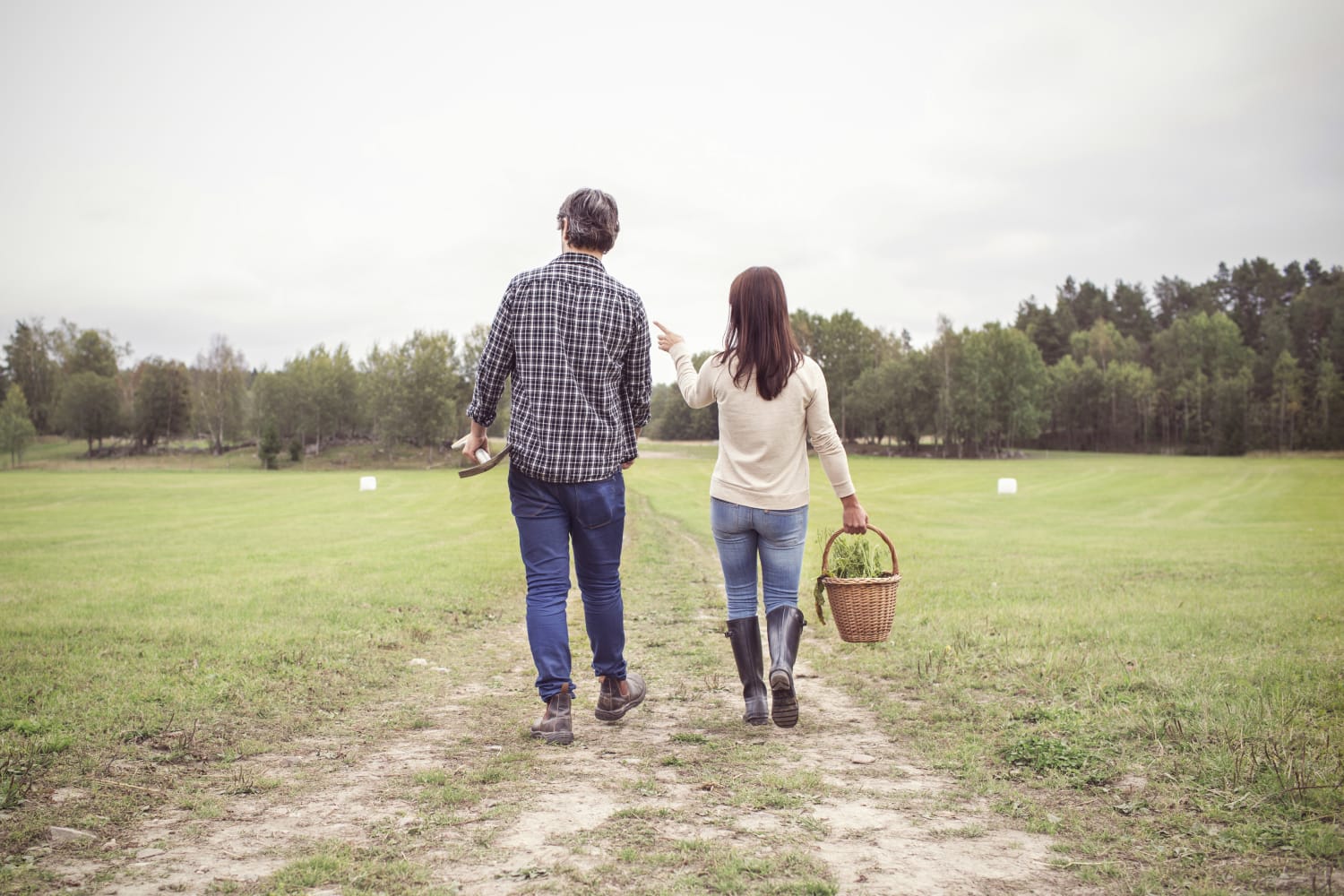 Está buscando el amor en el sitio equivocado? Estos son los estados donde  abundan las personas solteras