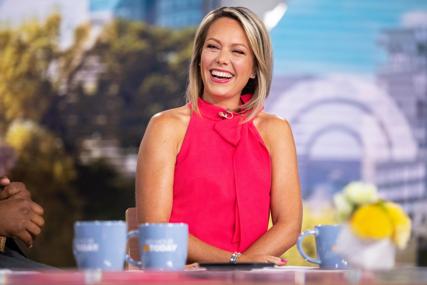 Parenting Moment Made Dylan Dreyer More Nervous Than Live TV