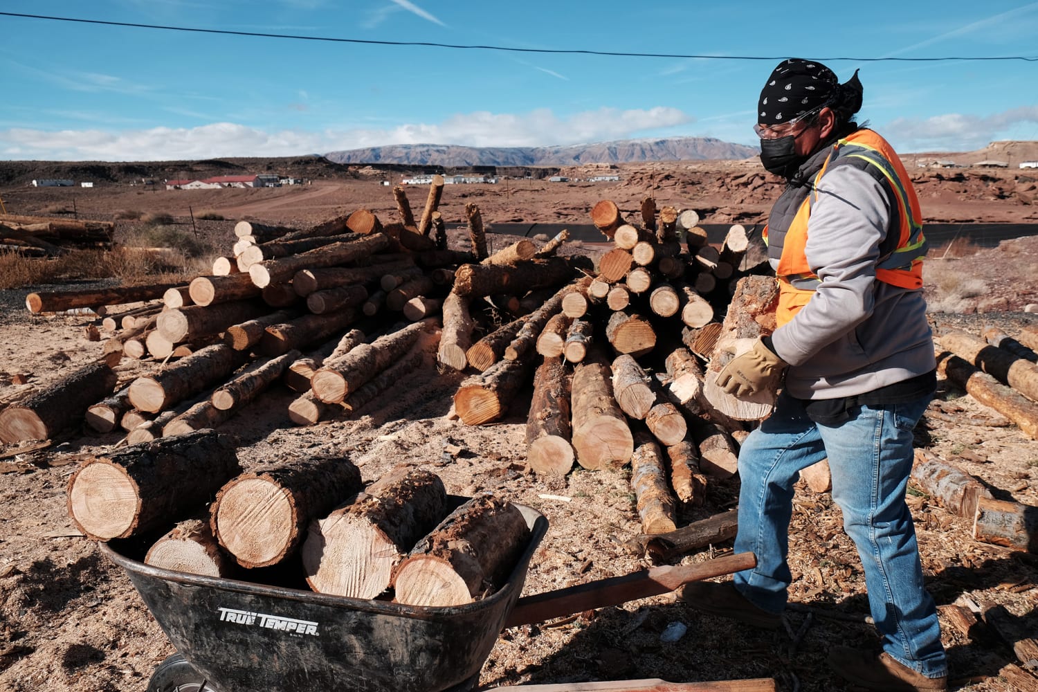 New Mexico Wood Cutting Permits