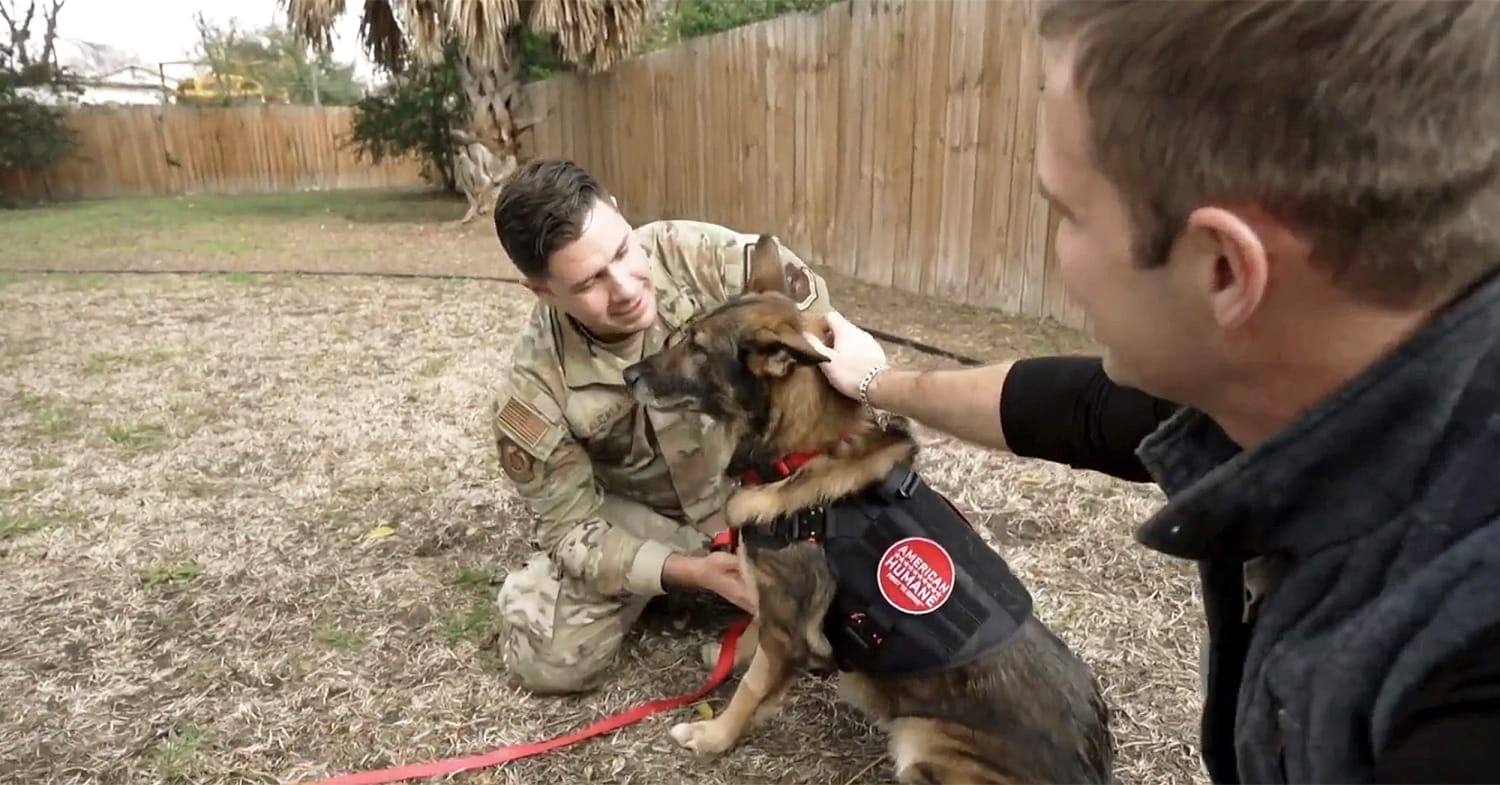 Sergeant reunites with military dog retiring from active duty. Watch the emotional moment