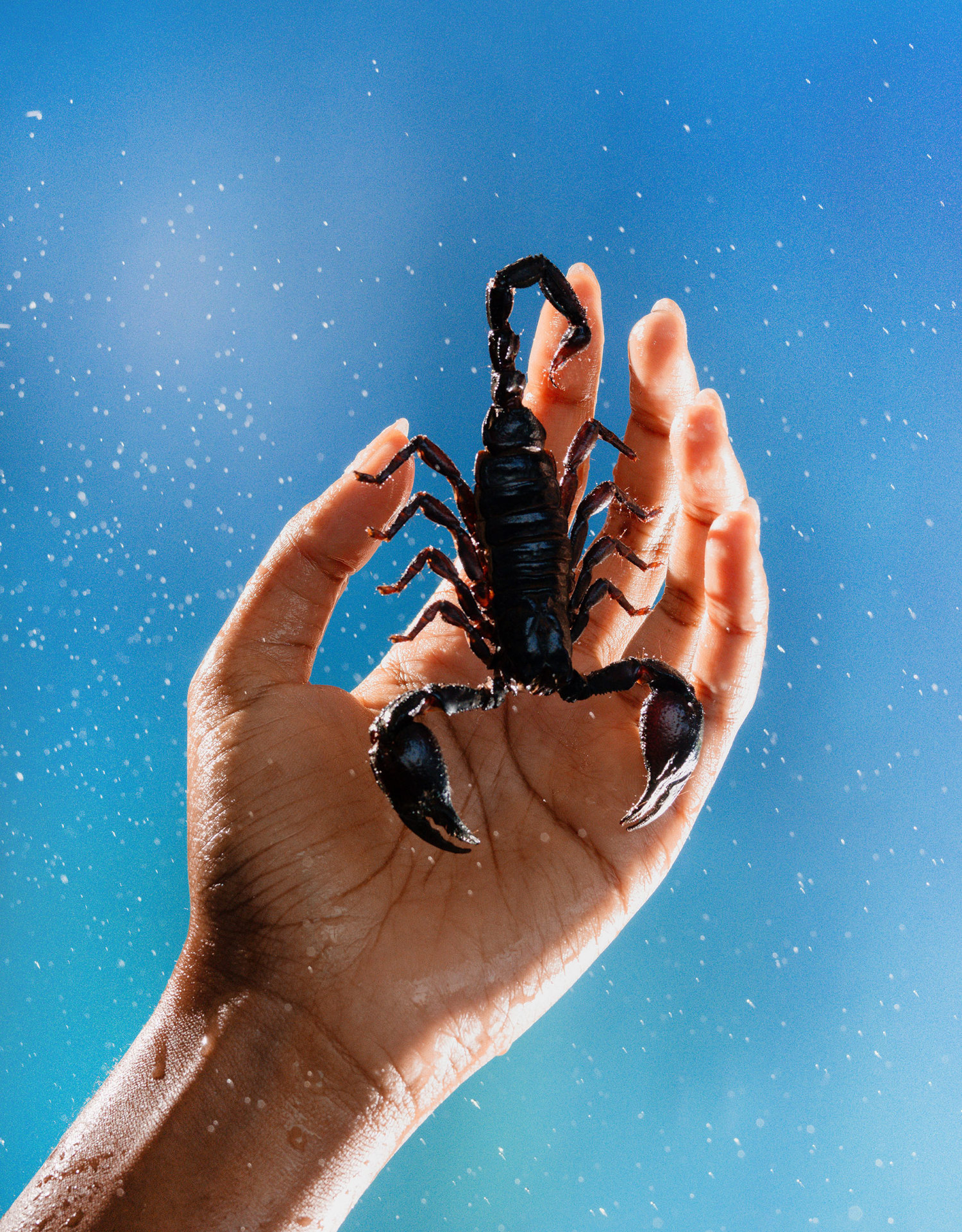 Scorpio Season 2024 Horoscopes By Zodiac Sign