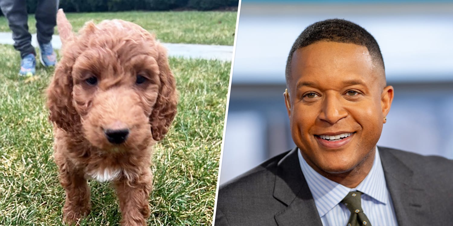Craig Melvin's family got a puppy for Christmas! See the cute pics and name