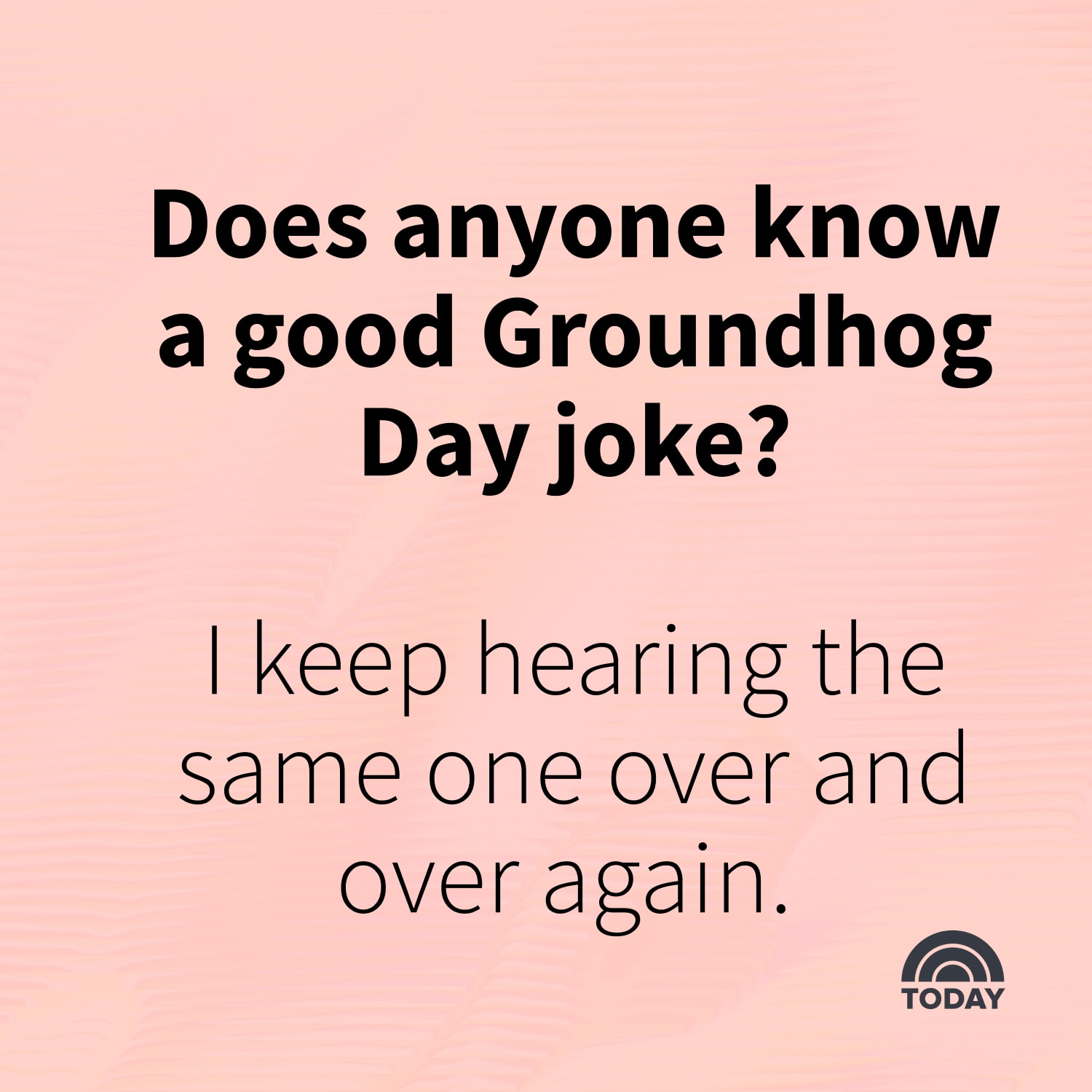 36 Funny Groundhog Day Jokes for Kids and Adults