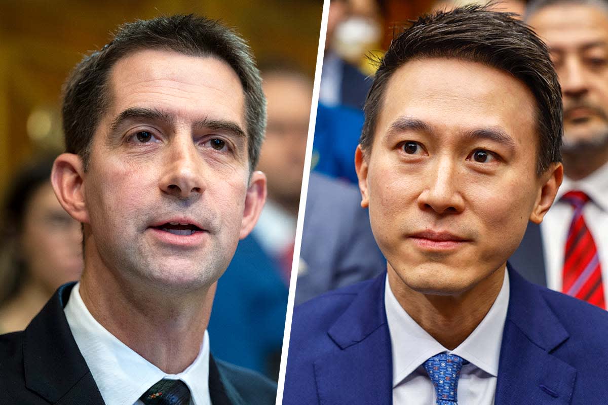 Tom Cotton faces backlash for controversial questioning of TikTok CEO Shou  Zi Chew