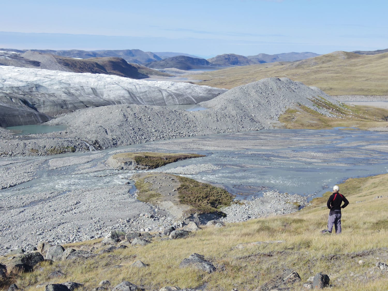 International warming is making Greenland greener