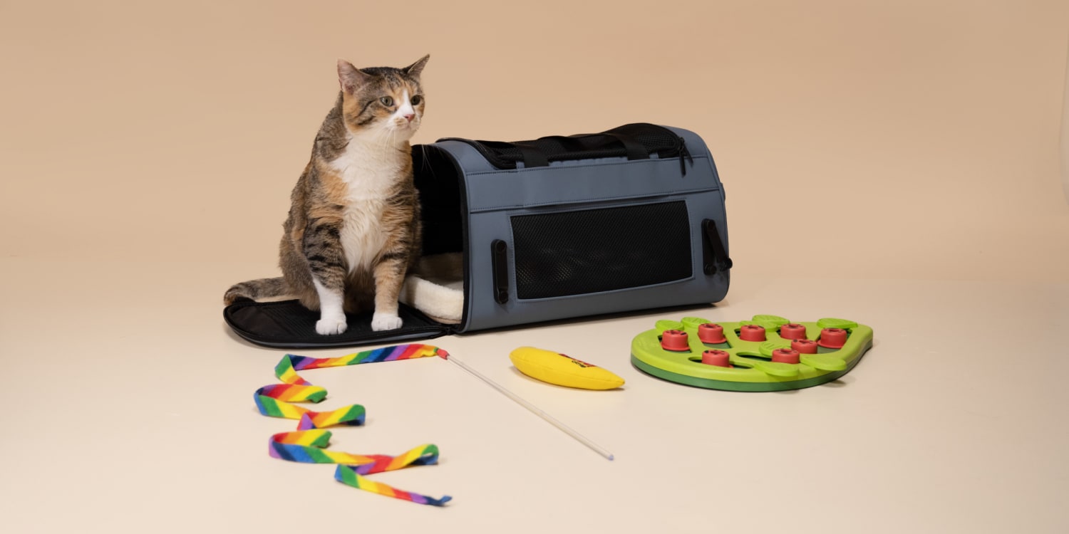 17 Best Cat Toys of 2024 According to Experts