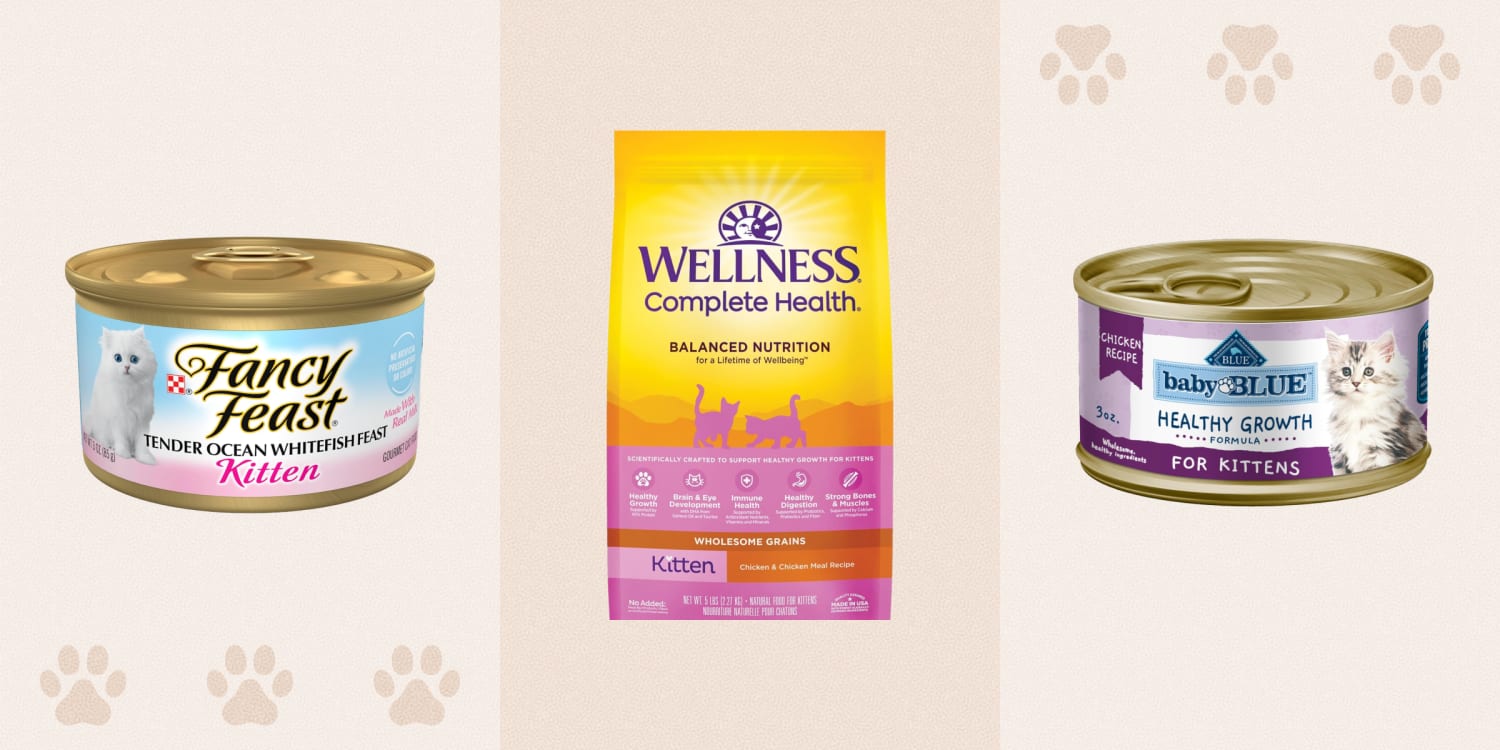 Healthiest wet food for fashion kittens