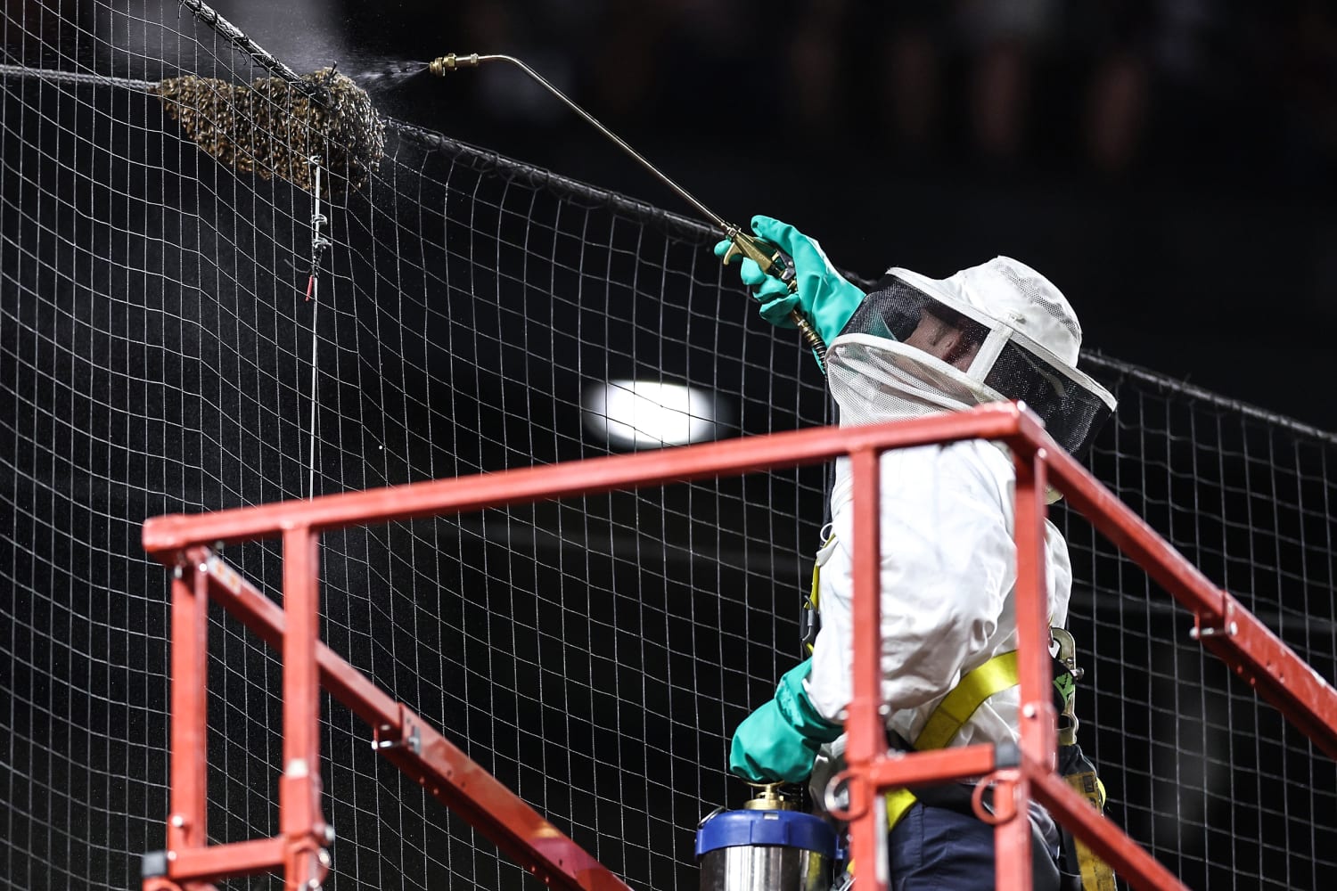 Beekeeper who saved Dodgers-Diamondbacks game from swarm gets to